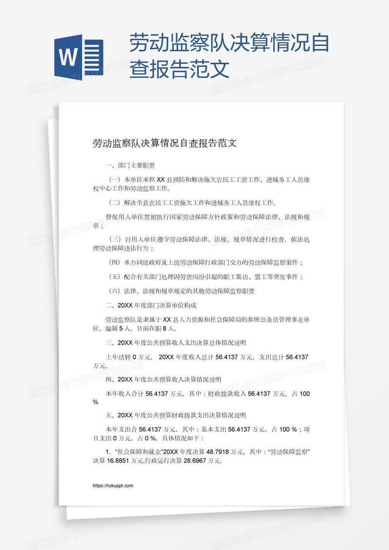 劳动监察队决算情况自查报告范文