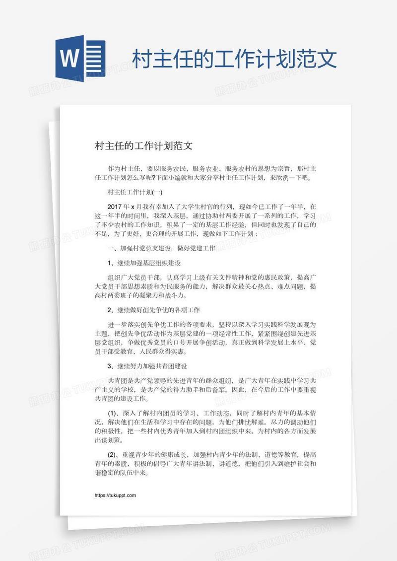 村主任的工作计划范文