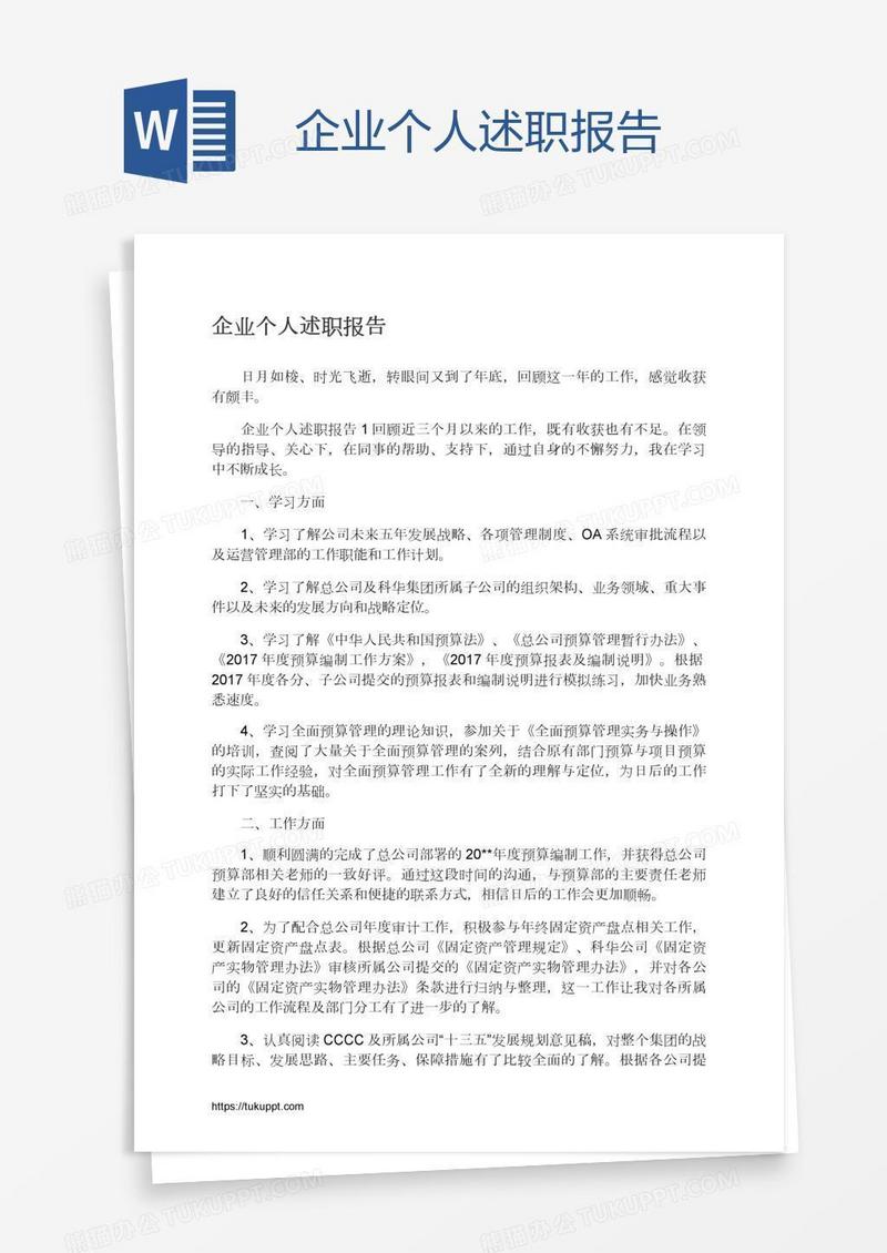 企业个人述职报告