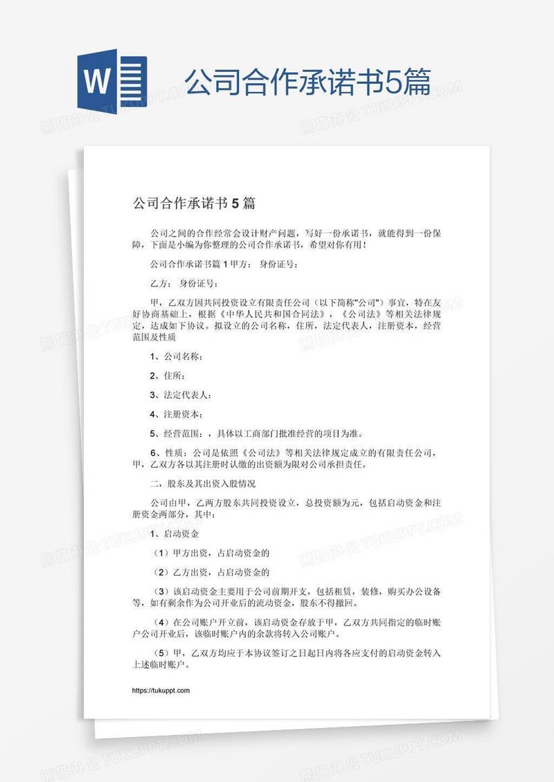 公司合作承诺书5篇
