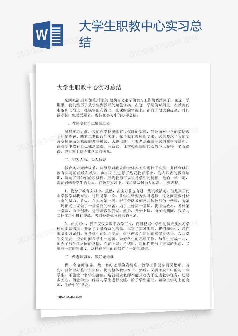 大学生职教中心实习总结