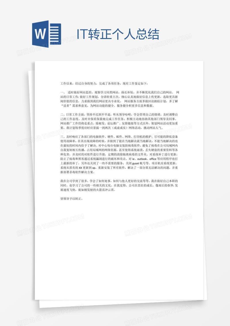 IT转正个人总结