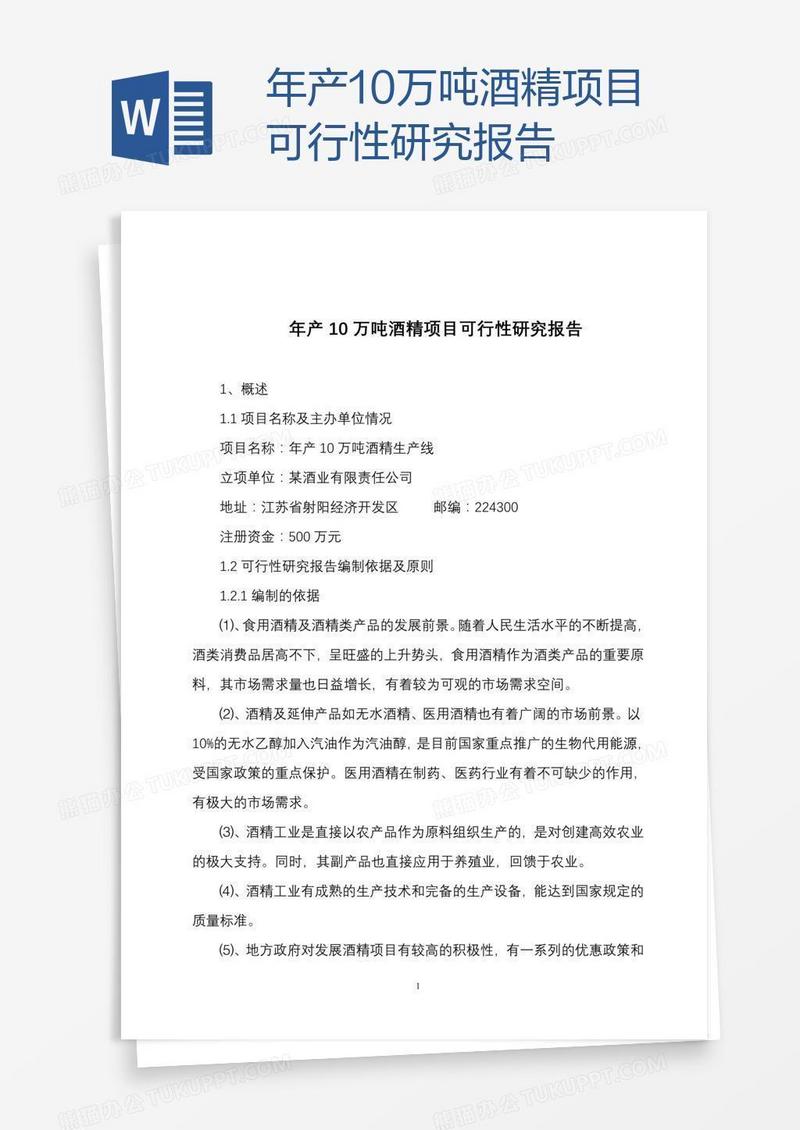 年产10万吨酒精项目可行性研究报告