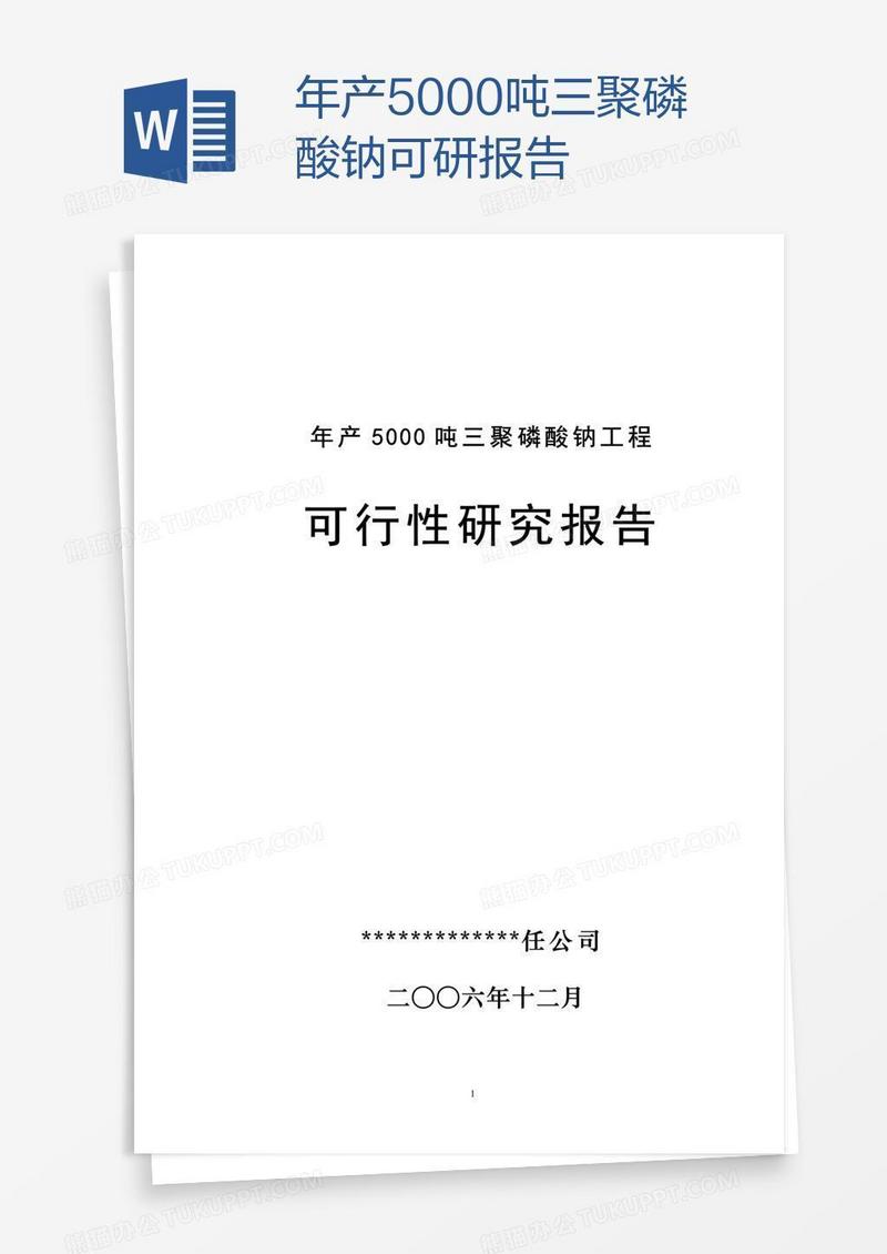 年产5000吨三聚磷酸钠可研报告