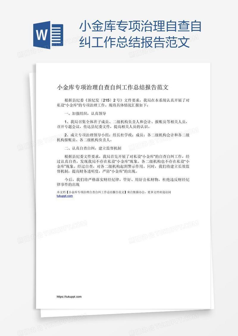 小金库专项治理自查自纠工作总结报告范文