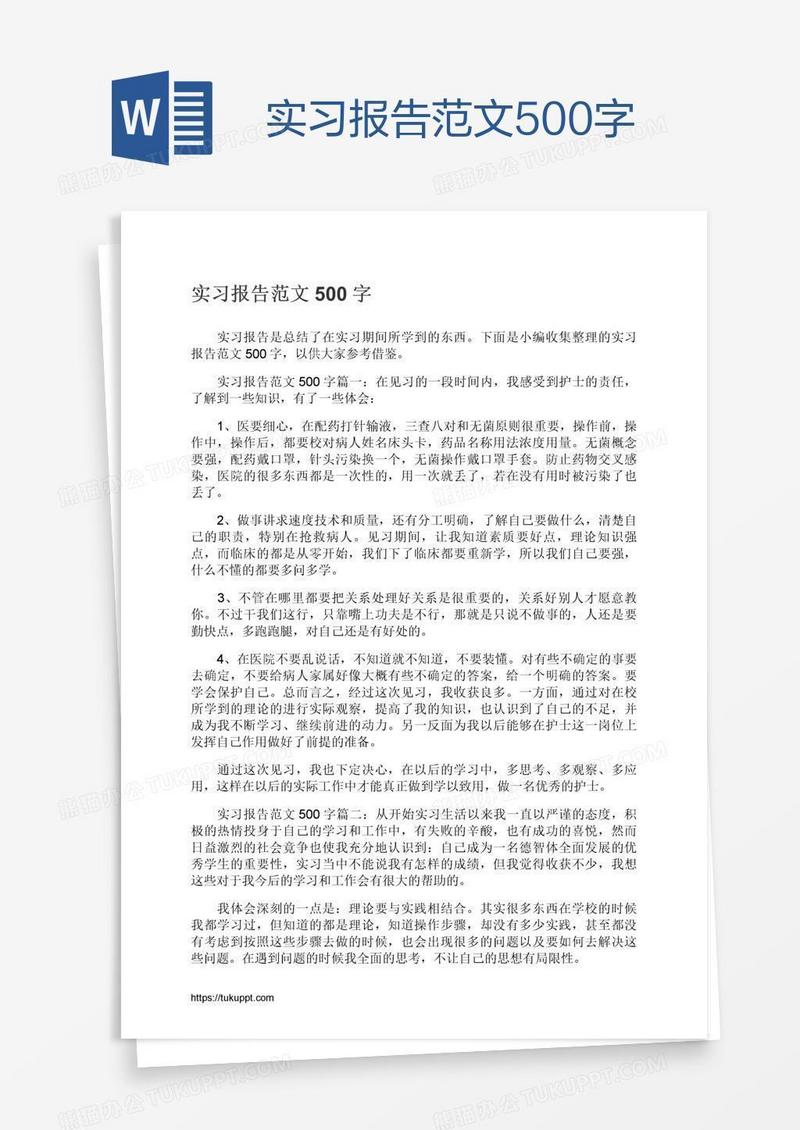 实习报告范文500字