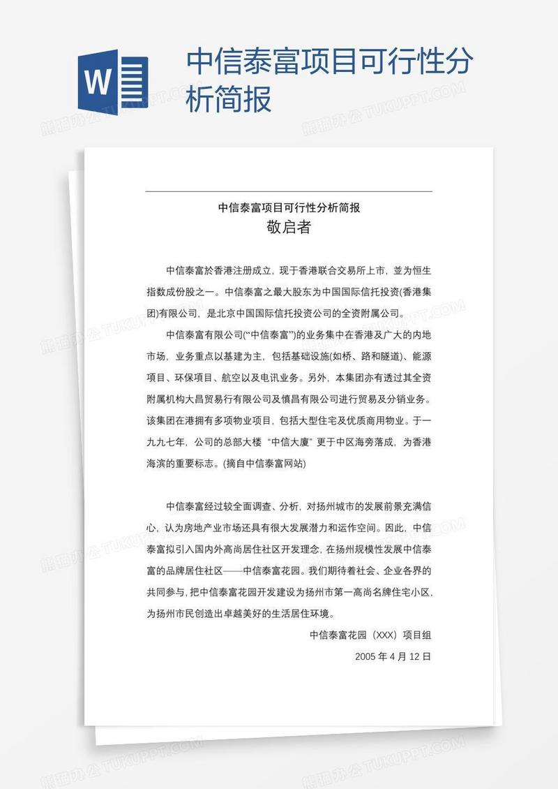 中信泰富项目可行性分析简报