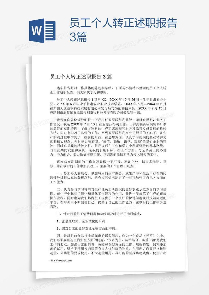 员工个人转正述职报告3篇