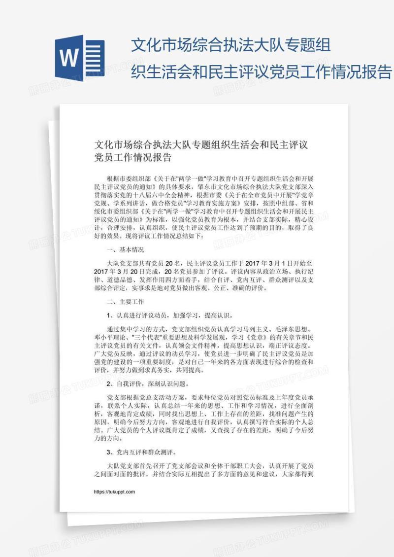 文化市场综合执法大队专题组织生活会和民主评议党员工作情况报告