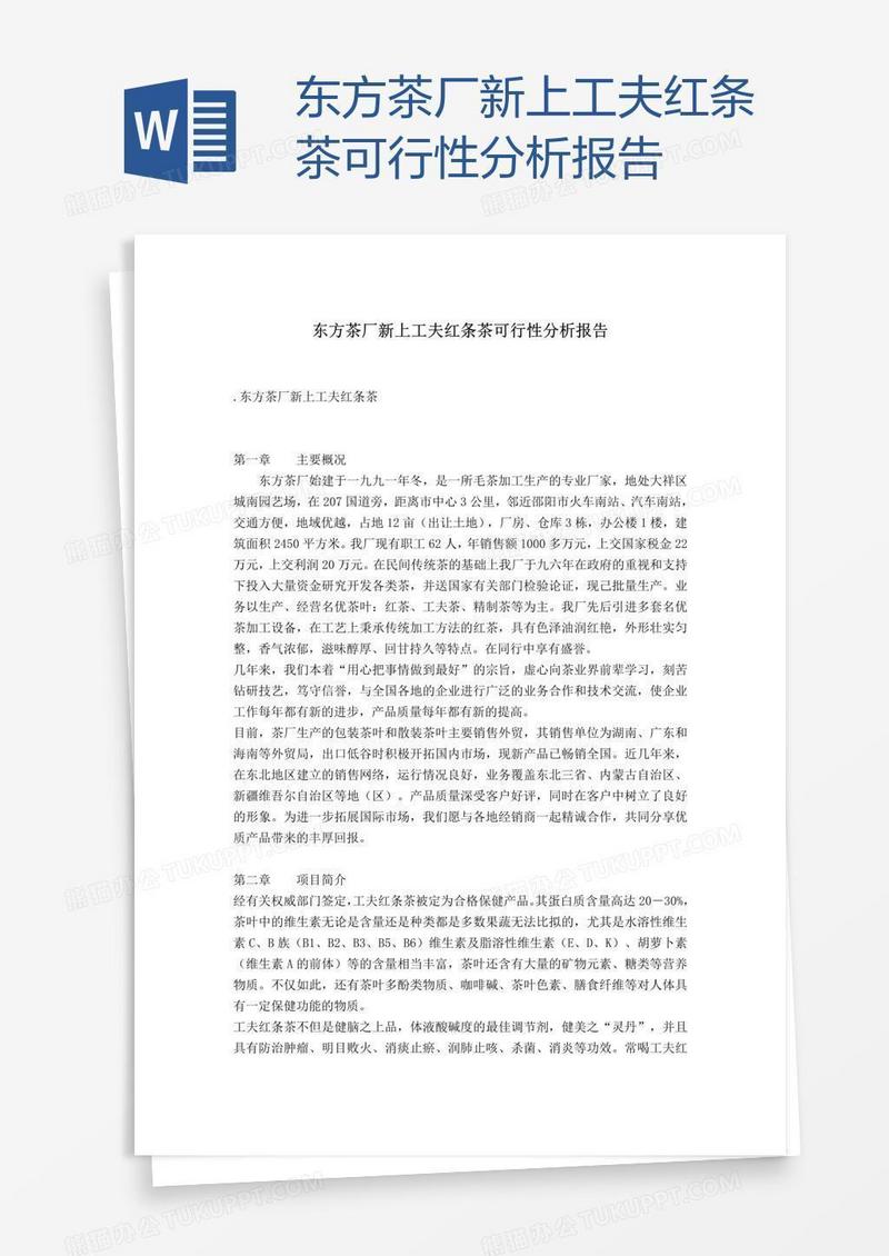 东方茶厂新上工夫红条茶可行性分析报告