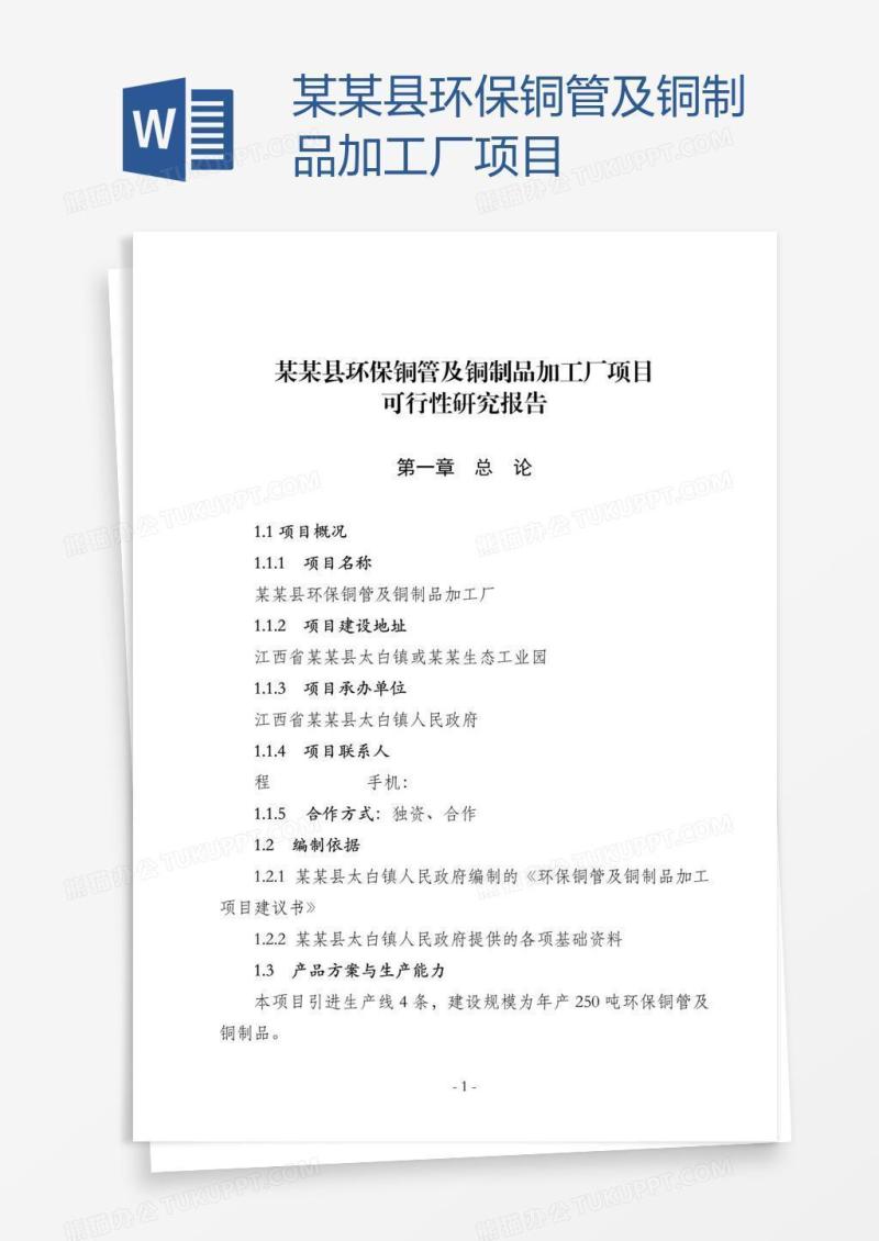 某某县环保铜管及铜制品加工厂项目
