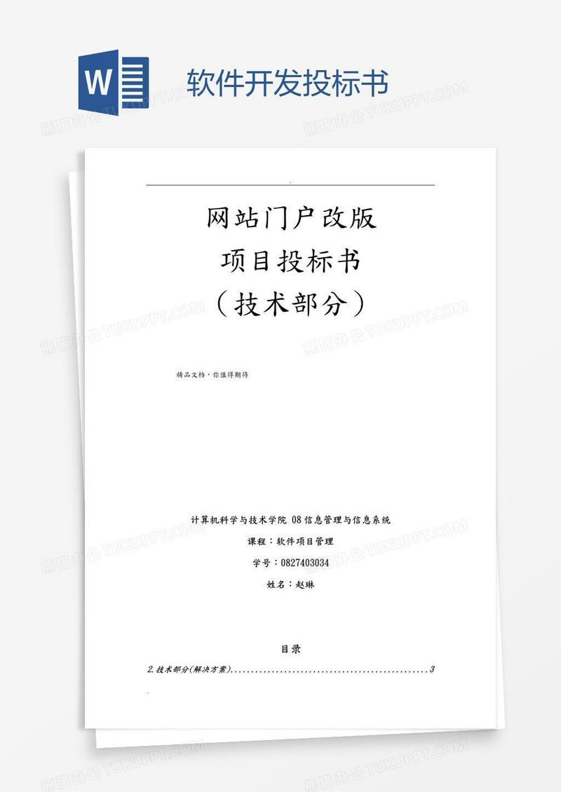 软件开发投标书