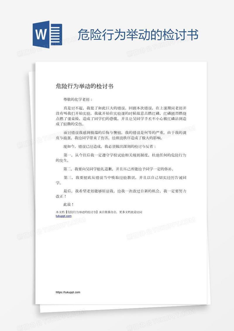 危险行为举动的检讨书