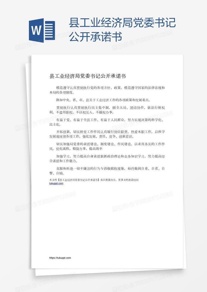 县工业经济局党委书记公开承诺书