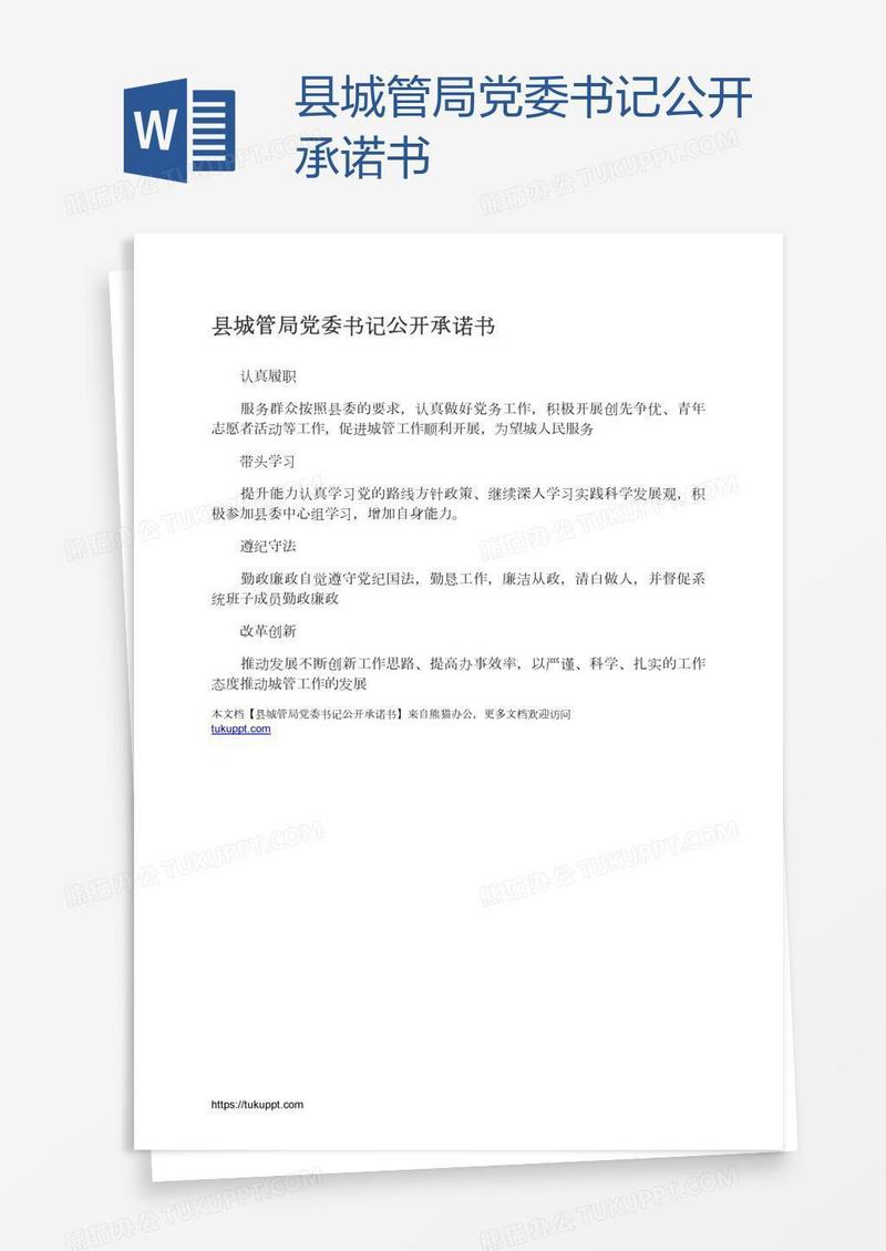 县城管局党委书记公开承诺书