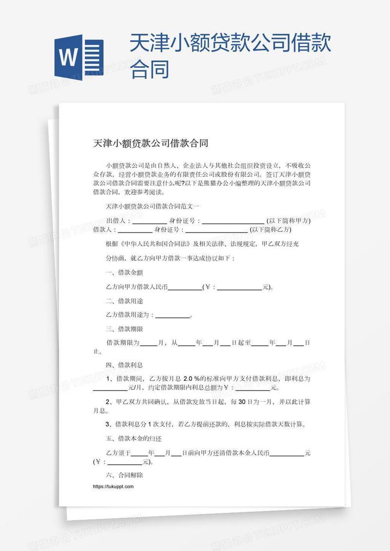 天津小额贷款公司借款合同