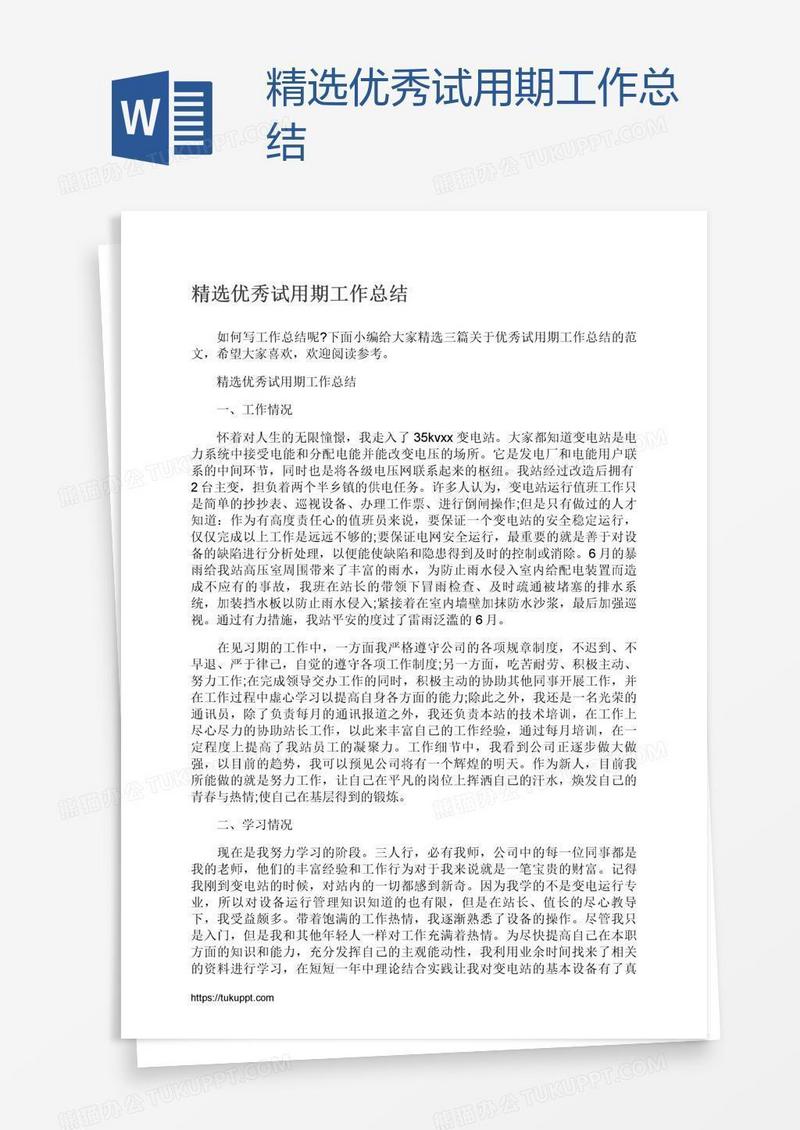 精选优秀试用期工作总结