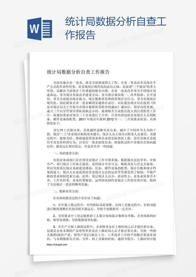 统计局数据分析自查工作报告