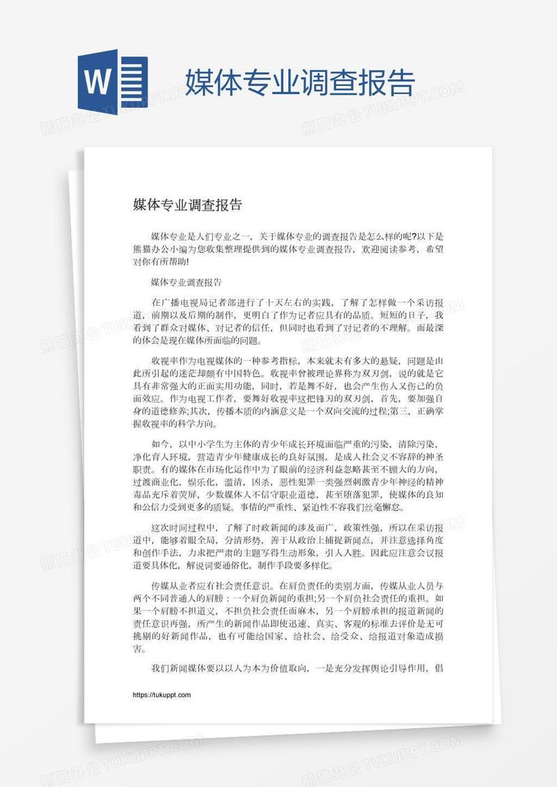 媒体专业调查报告