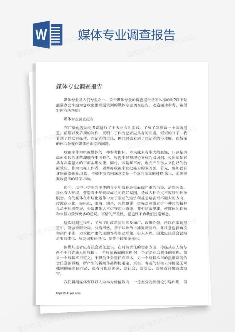 媒体专业调查报告