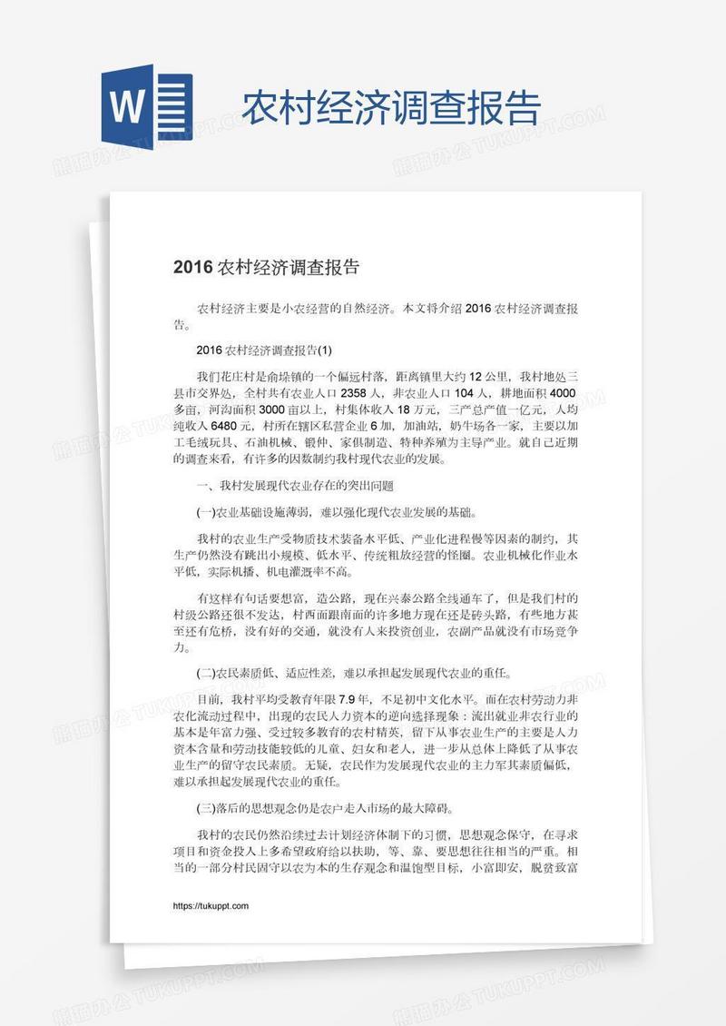农村经济调查报告