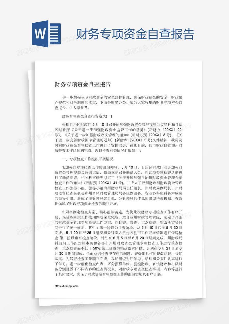 财务专项资金自查报告