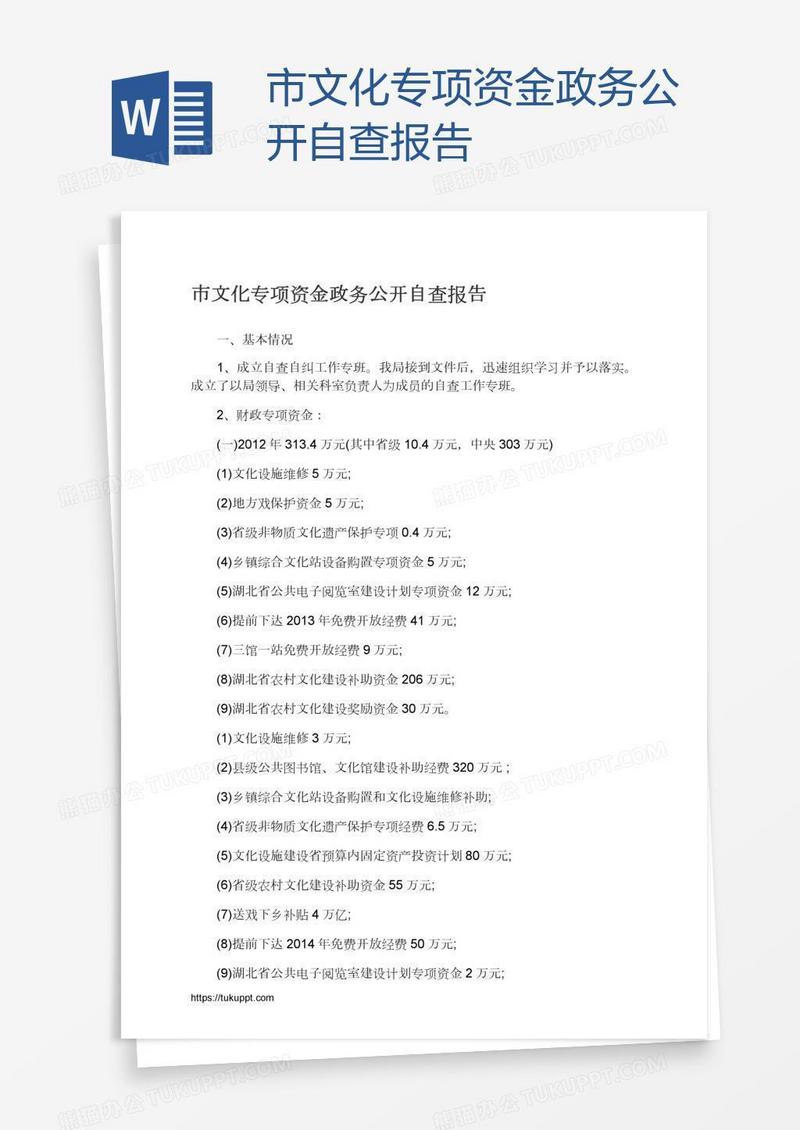 市文化专项资金政务公开自查报告