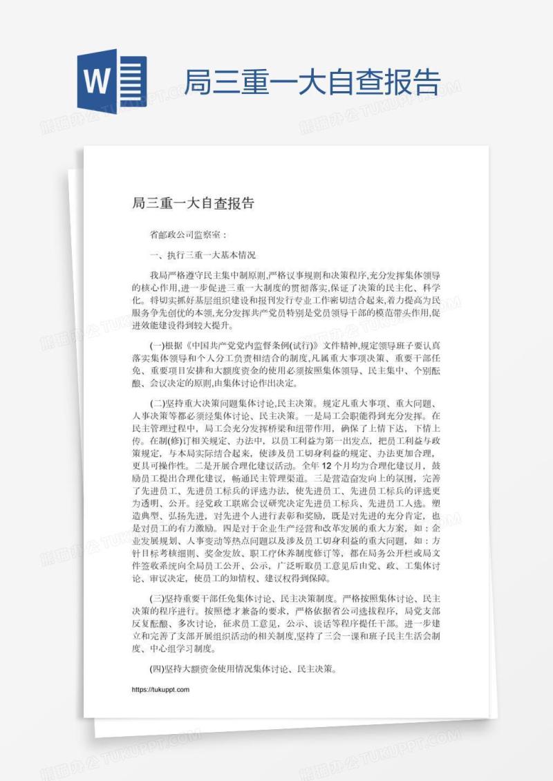 局三重一大自查报告