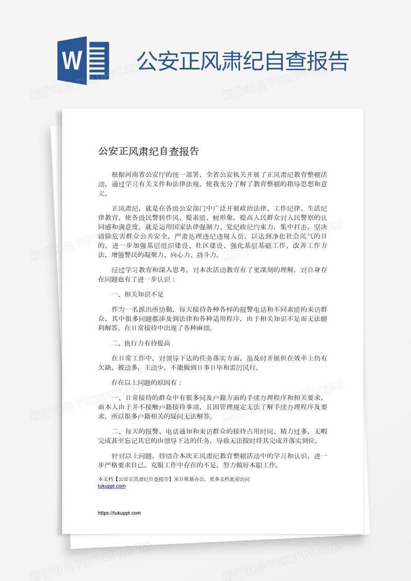 公安正风肃纪自查报告