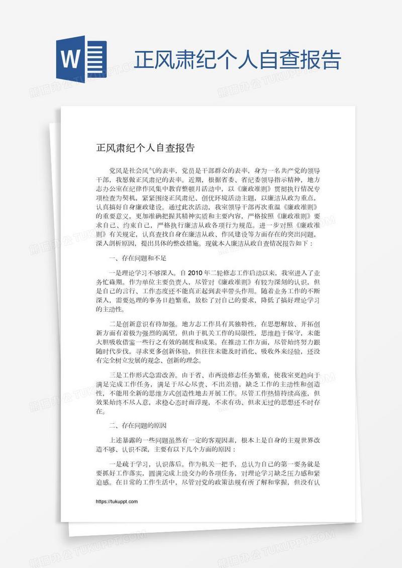 正风肃纪个人自查报告