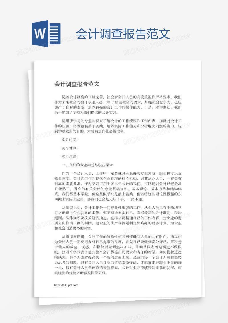 会计调查报告范文