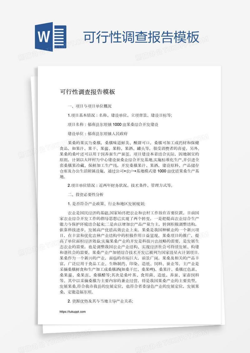 可行性调查报告模板