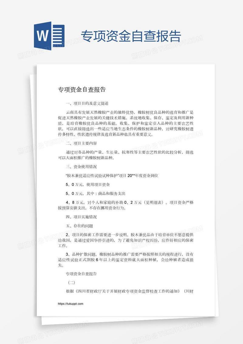 专项资金自查报告