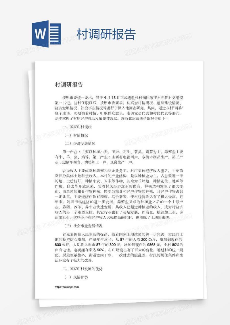 村调研报告