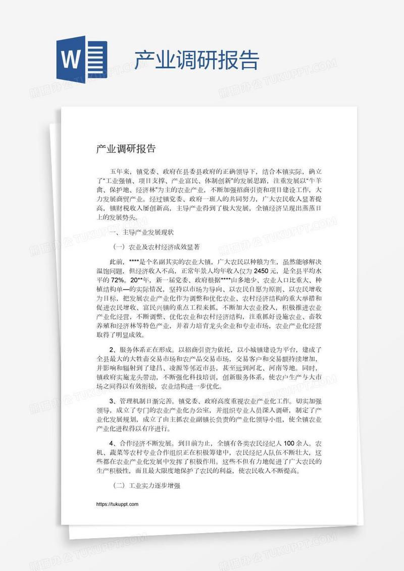 产业调研报告