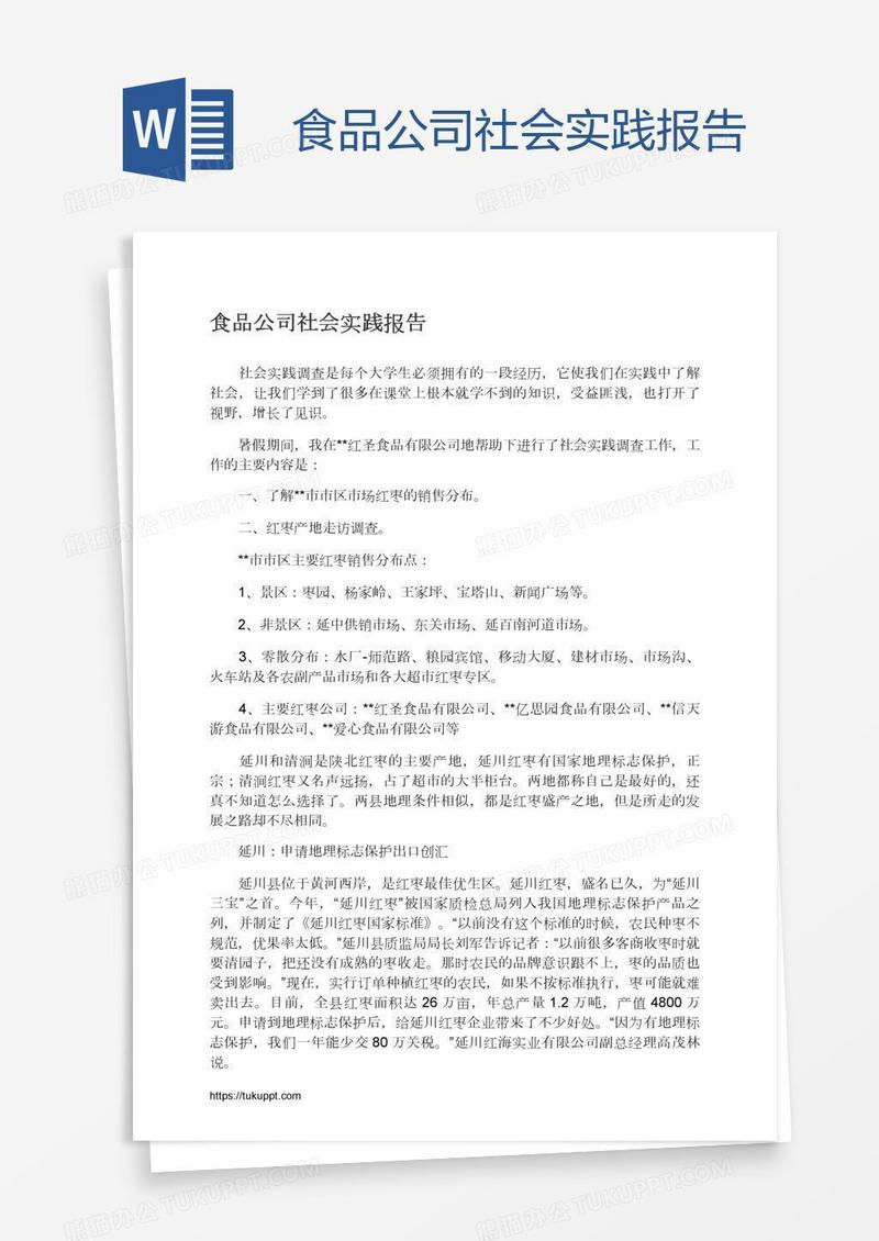 食品公司社会实践报告