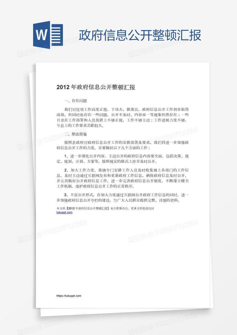 政府信息公开整顿汇报
