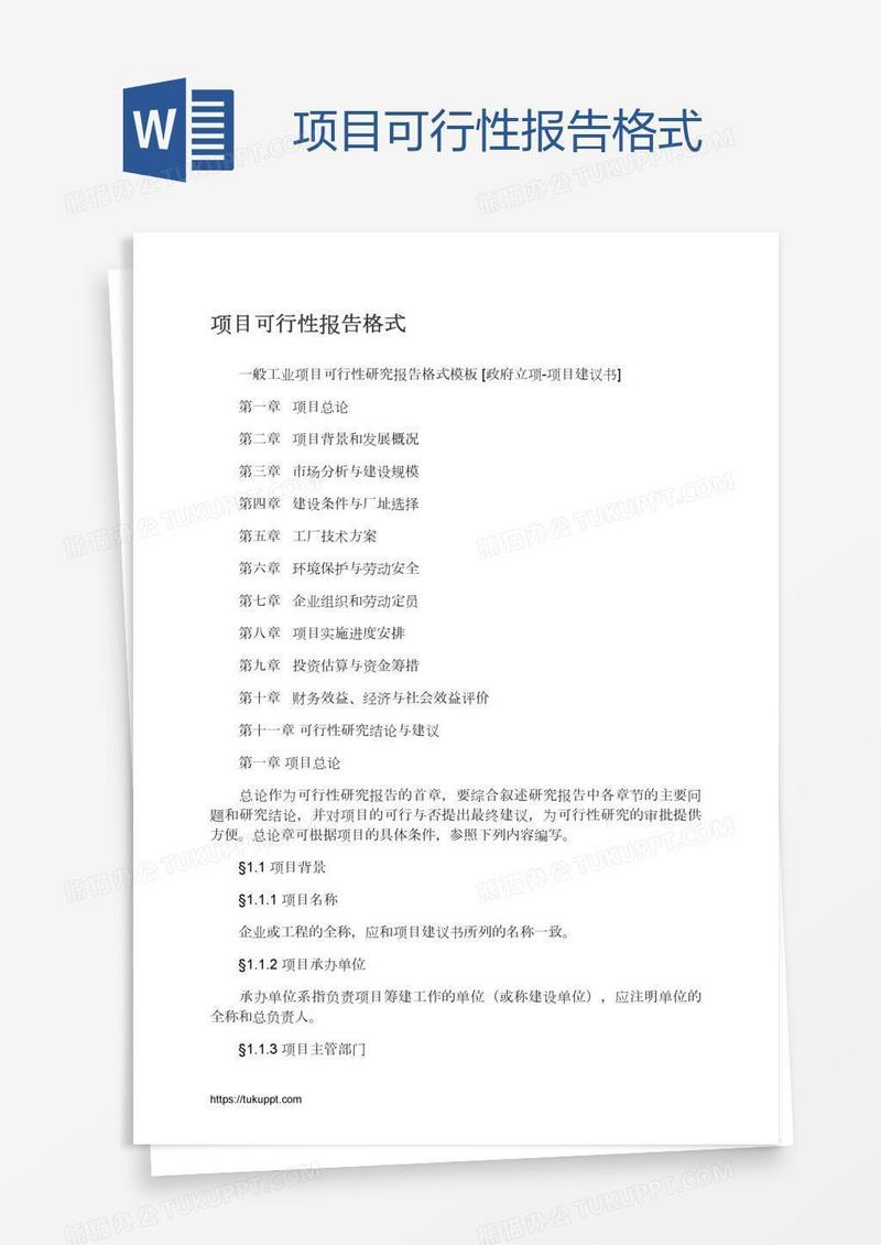 项目可行性报告格式