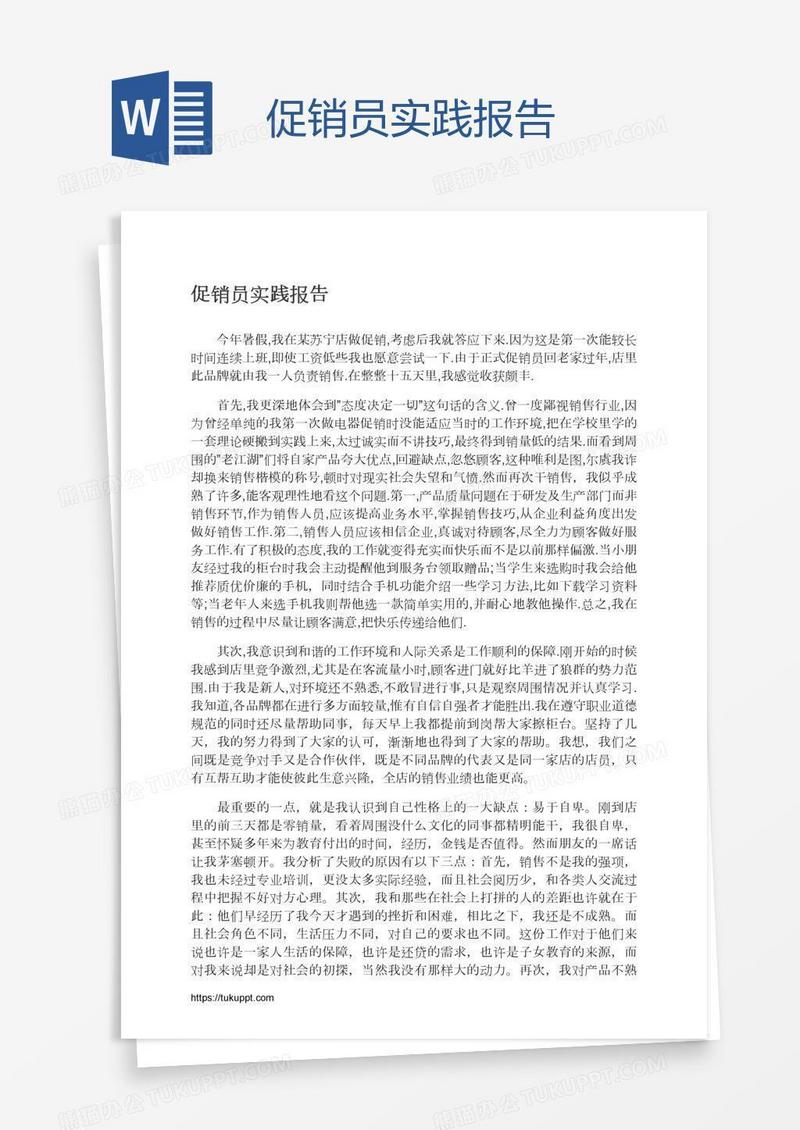 促销员实践报告