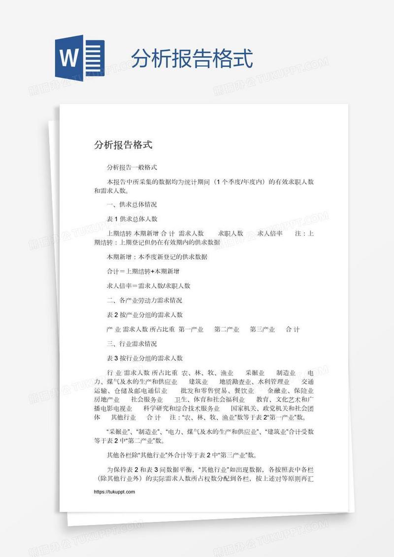 分析报告格式