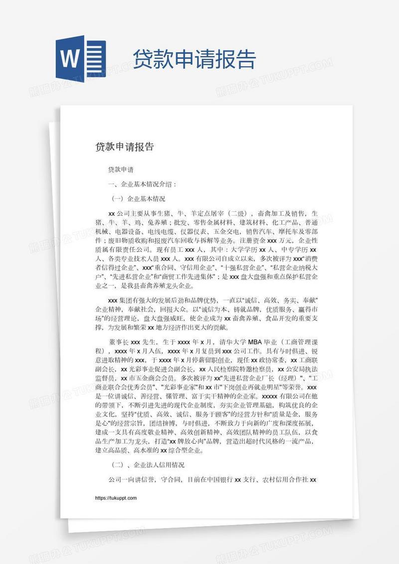 贷款申请报告