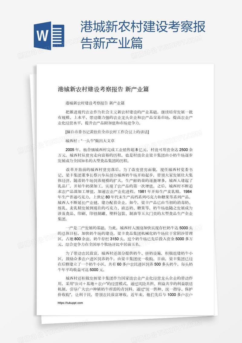 港城新农村建设考察报告新产业篇