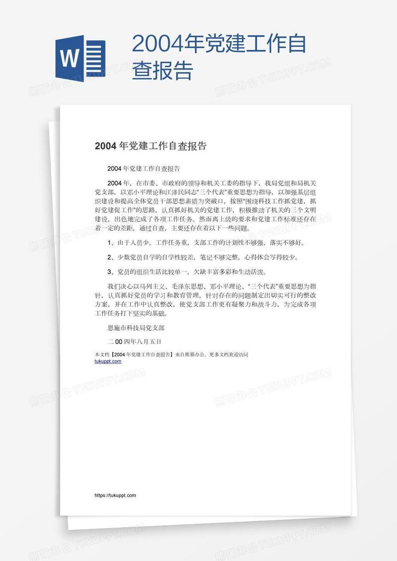 2004年党建工作自查报告