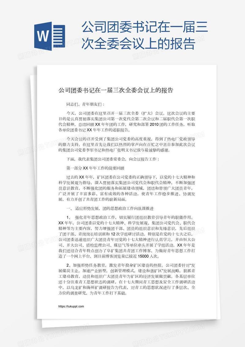 公司团委书记在一届三次全委会议上的报告