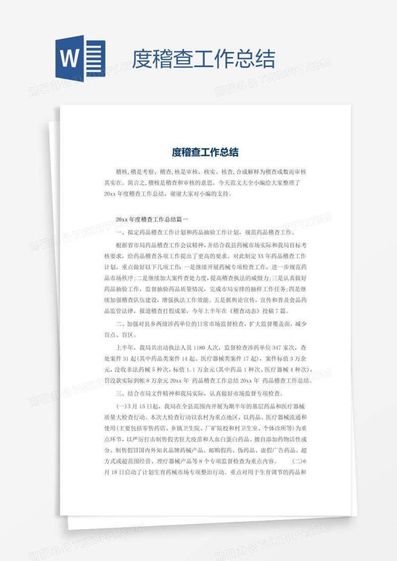 度稽查工作总结