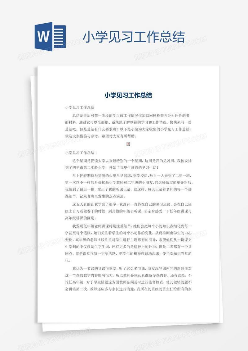 小学见习工作总结