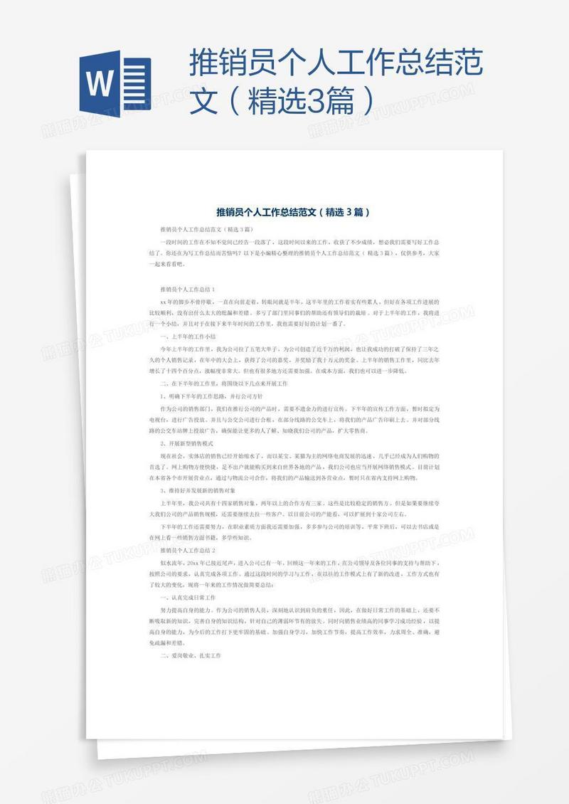 推销员个人工作总结范文（精选3篇）