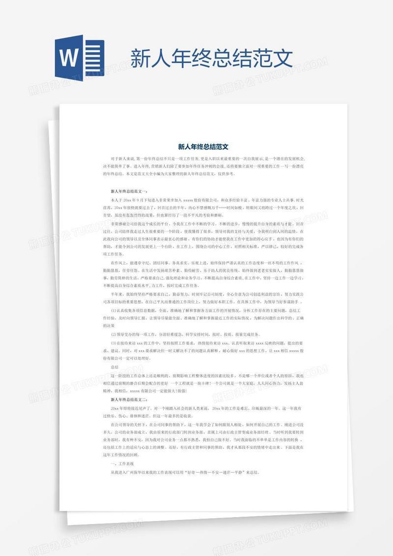 新人年终总结范文