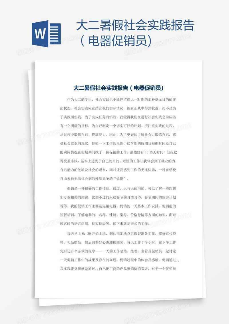 大二暑假社会实践报告（电器促销员)