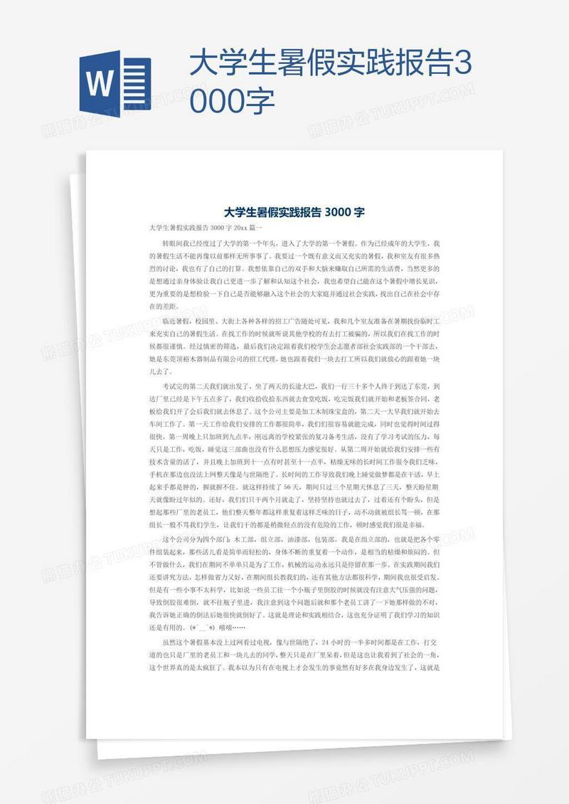 大学生暑假实践报告3000字